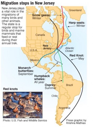 Migration map