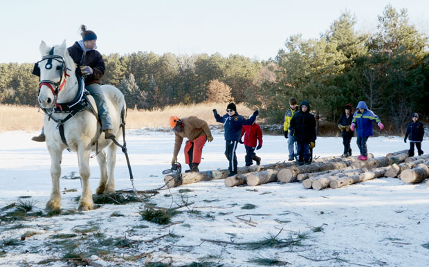 Old-fashioned forestry thins outdoor 'classroom'