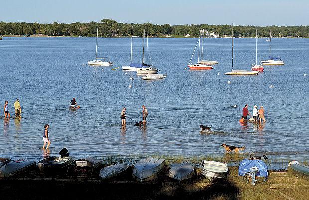 White Bear Lake dog beach no longer walk in the park | News | presspubs.com