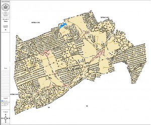 Many Queens pols slam proposed district maps
