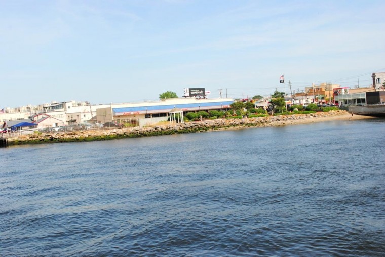 Cruising Jamaica Bay in summer