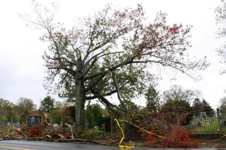 Hurricane Sandy leaves her mark on central and southwestern Queens 44547