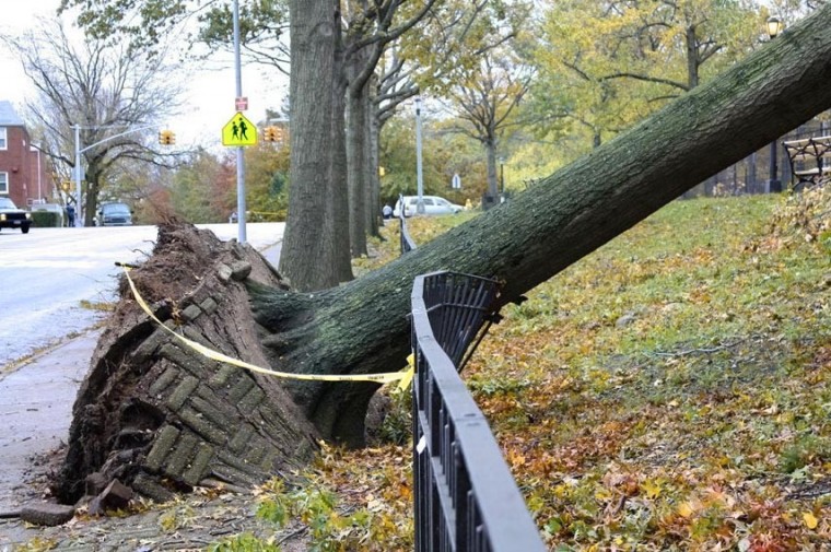 Hurricane Sandy leaves her mark on central and southwestern Queens