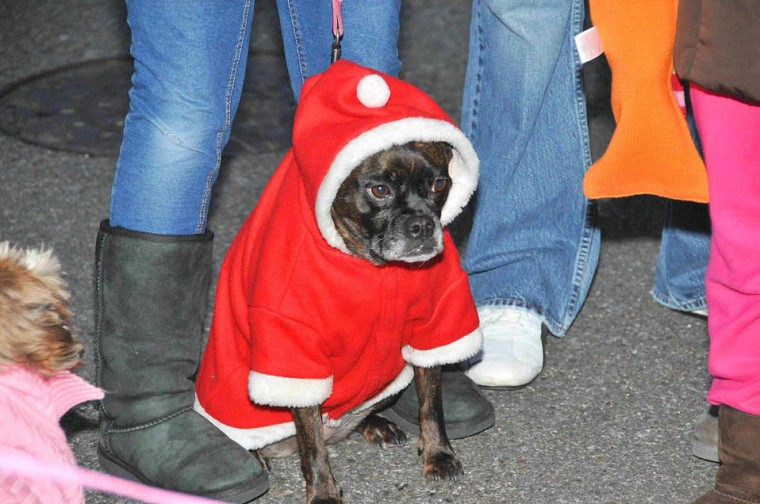 Tree lighting 54839