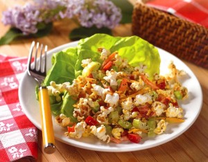 Cool picnic recipes for summer dining 