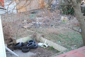 Seniors forced to live next to a trash pile 2