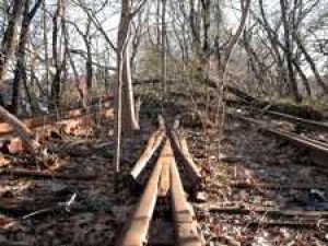 Bike Path Proposal Gets Cool Reception From Board 