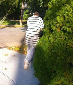 Jamaica Hills Daylight Groper