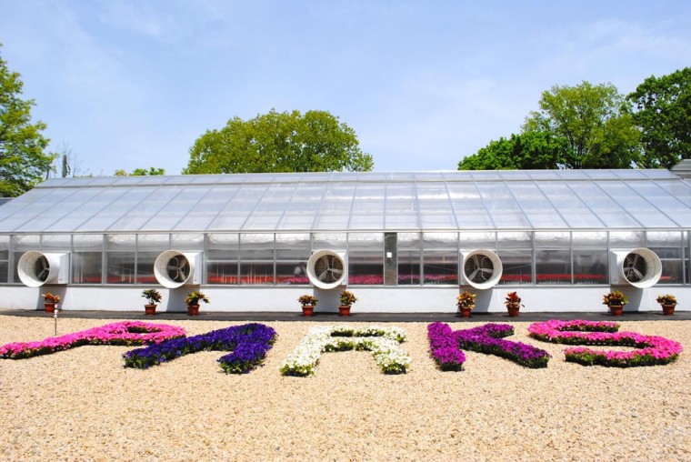 The city’s flowers, brought to you by Qns.