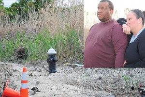 Wetlands headache for Rosedale couple 1
