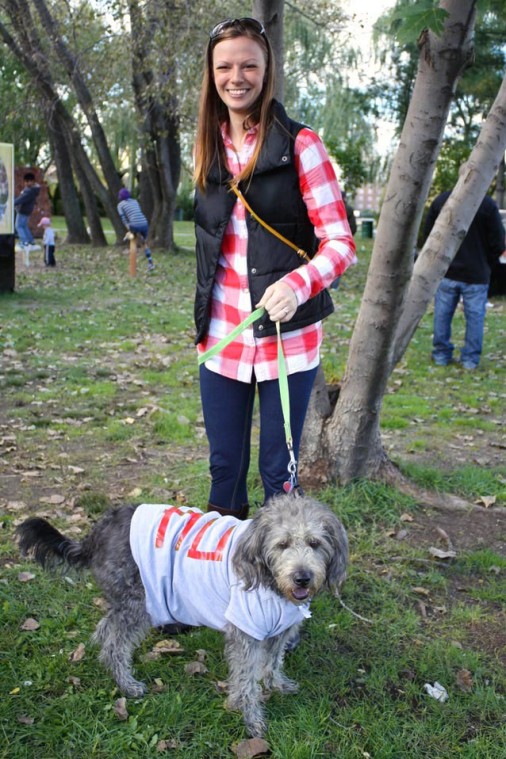 Socrates Dogs 52456
