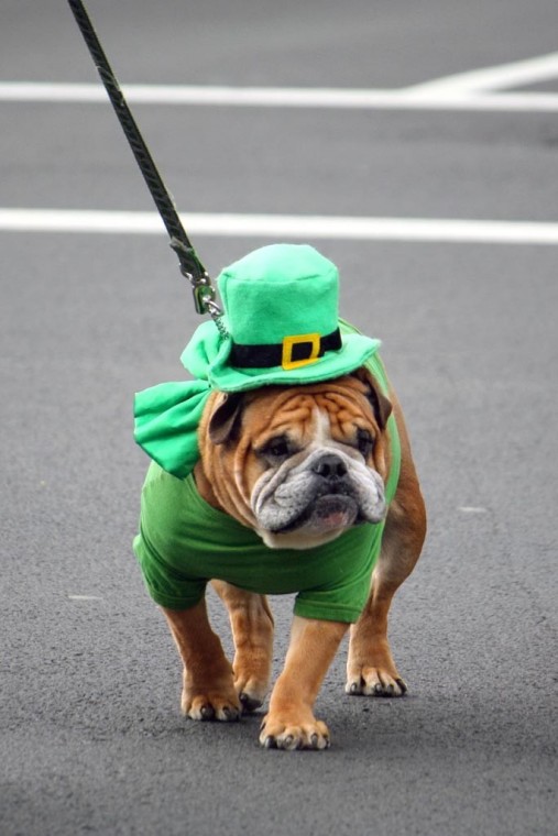 St. Pat’s for All Parade in Sunnyside