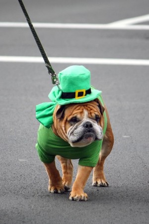 St. Pat’s for All Parade in Sunnyside