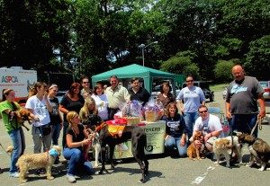 Animal lovers flock to pet fair at Forest Park 1