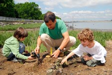Seagrass restoration continues at MacNeil