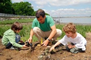 Seagrass restoration continues at MacNeil