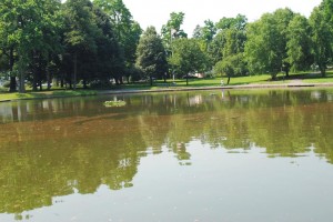 Red tide algae a problem at Bowne 2