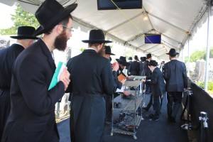 Lubavitchers in Cambria Heights 7