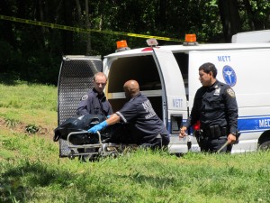 Burned body found in Woodhaven's Forest Park — NYPD