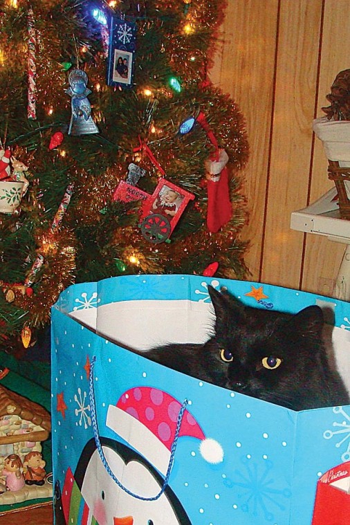 Holiday Photo Contest!