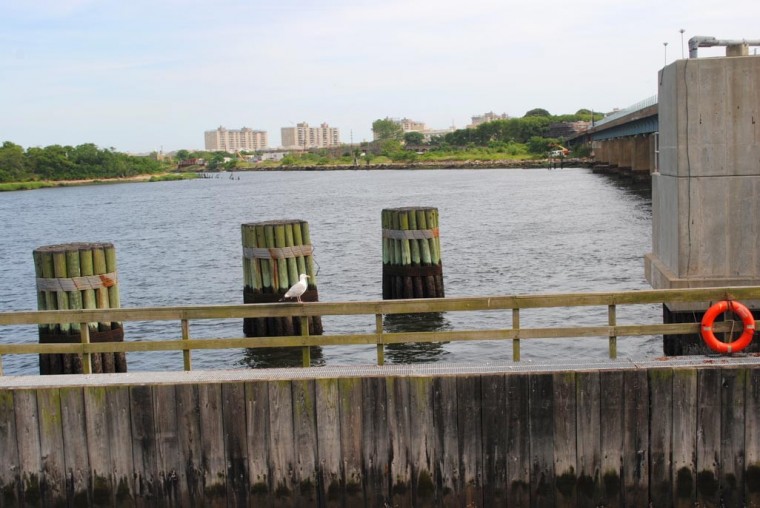 Cruising Jamaica Bay in summer