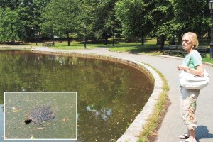 Red tide algae a problem at Bowne1