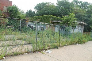 North Conduit site gets a cleaning  1