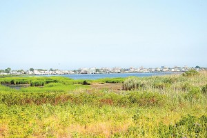 Rename Jamaica Bay? Greens say no 1