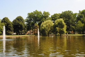 Algae still infests Bowne Park pond 1