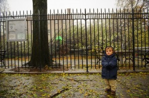 Western Queens feels wrath of Hurricane Sandy 