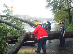 2011 spotlights nature, 9/11 2
