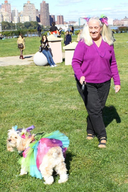 Socrates Dogs 52458