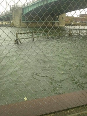 Western Queens feels wrath of Hurricane Sandy 