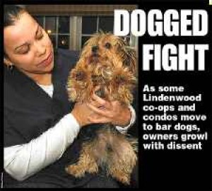 Lindenwood Dog Days Coming And Going 