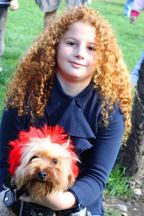 Socrates Dogs 52457