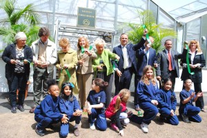 Greenhouse at Forest Park springs to life 1