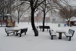 Queens sees a light snowfall 3