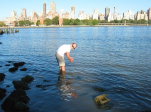 Illegal sewer line at Hallets Cove? 1