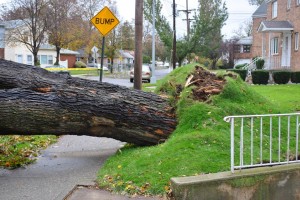 SE Queens area is still recovering from Sandy  1