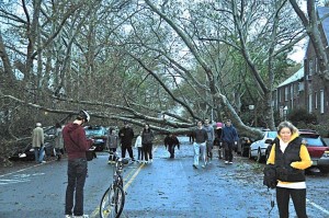 Western Queens feels wrath of Hurricane Sandy 