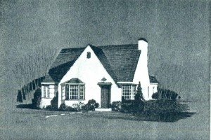 Wolosoff homes in Briarwood 1