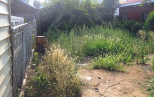 Abandoned house is a blight on block  1