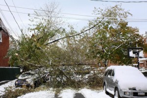 Nor'easter add to Queens weather woes