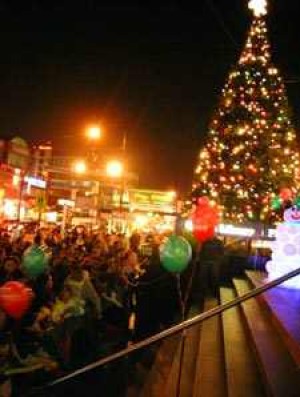 Lighting The Tree 