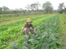 Sustainability is key at Qns. County Farm 