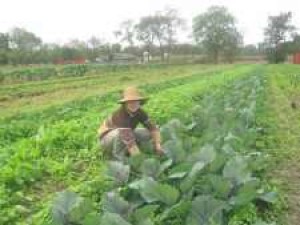 Sustainability is key at Qns. County Farm 
