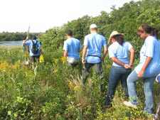 ‘BioBlitz’ Participants Storm Jamaica Bay 