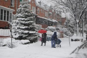 Queens sees a light snowfall 4