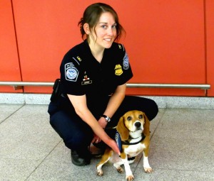JFK’s Beagle Brigade: pups battling aliens 1