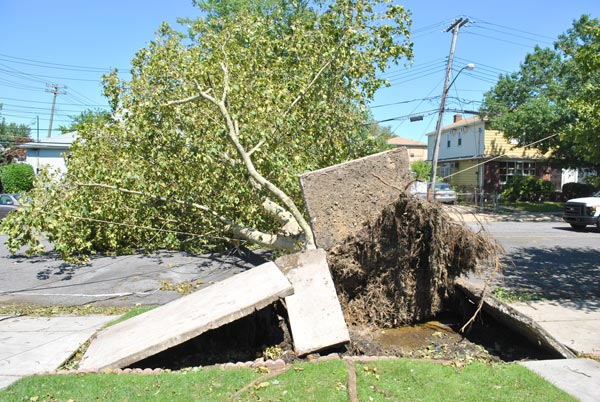 Photo gallery: Hurricane Irene and the aftermath